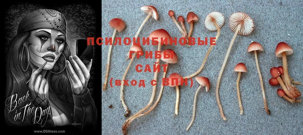mix Арсеньев