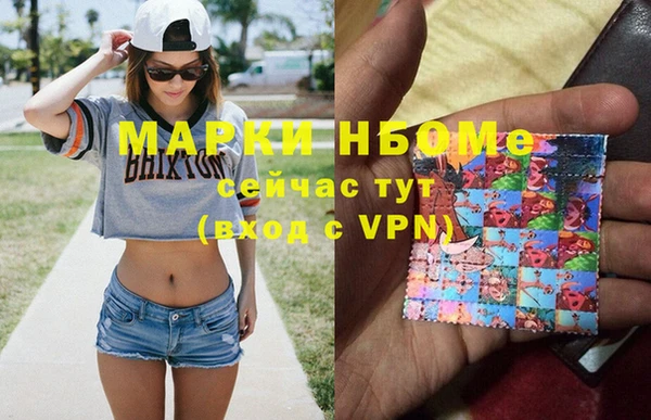 прущий лед Пересвет