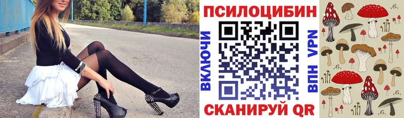 где купить наркоту  Малмыж  Псилоцибиновые грибы ЛСД 